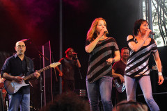 ltdanband_15