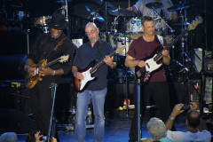 ltdanband_31