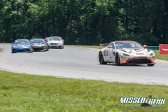 GT-VIR-2022-116.webp