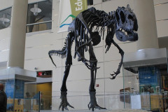 mv_hist01