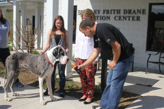 mv_spca_newm12