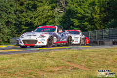 VIR-IMSA-82226-219